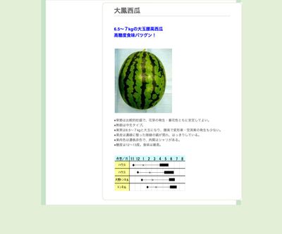 大鳳西瓜の画像