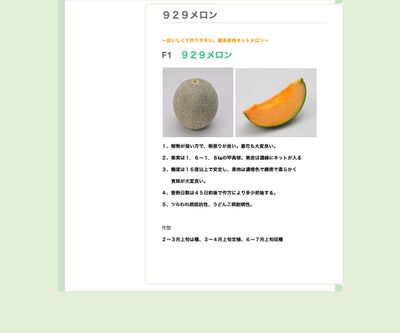 ９２９メロンの画像