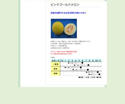 ピンクゴールドメロンの画像