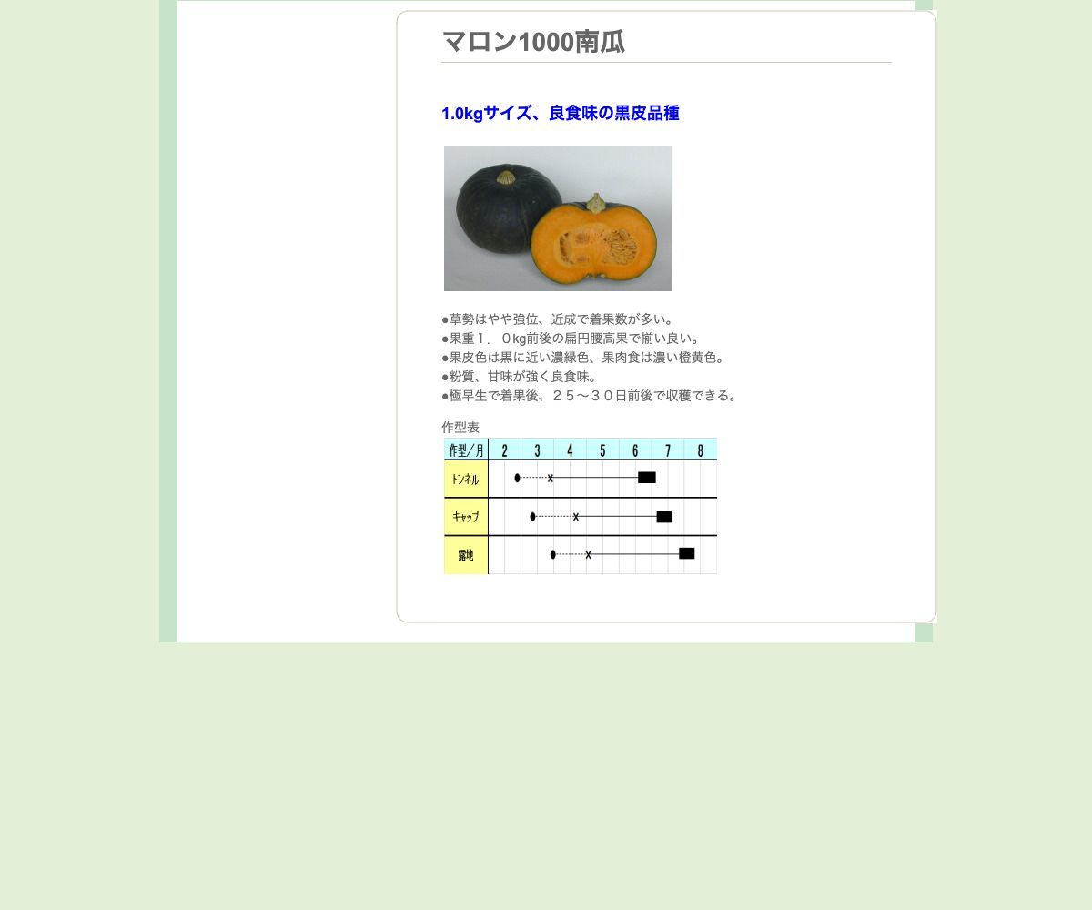 マロン１０００南瓜