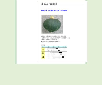 まるこ７００南瓜の画像