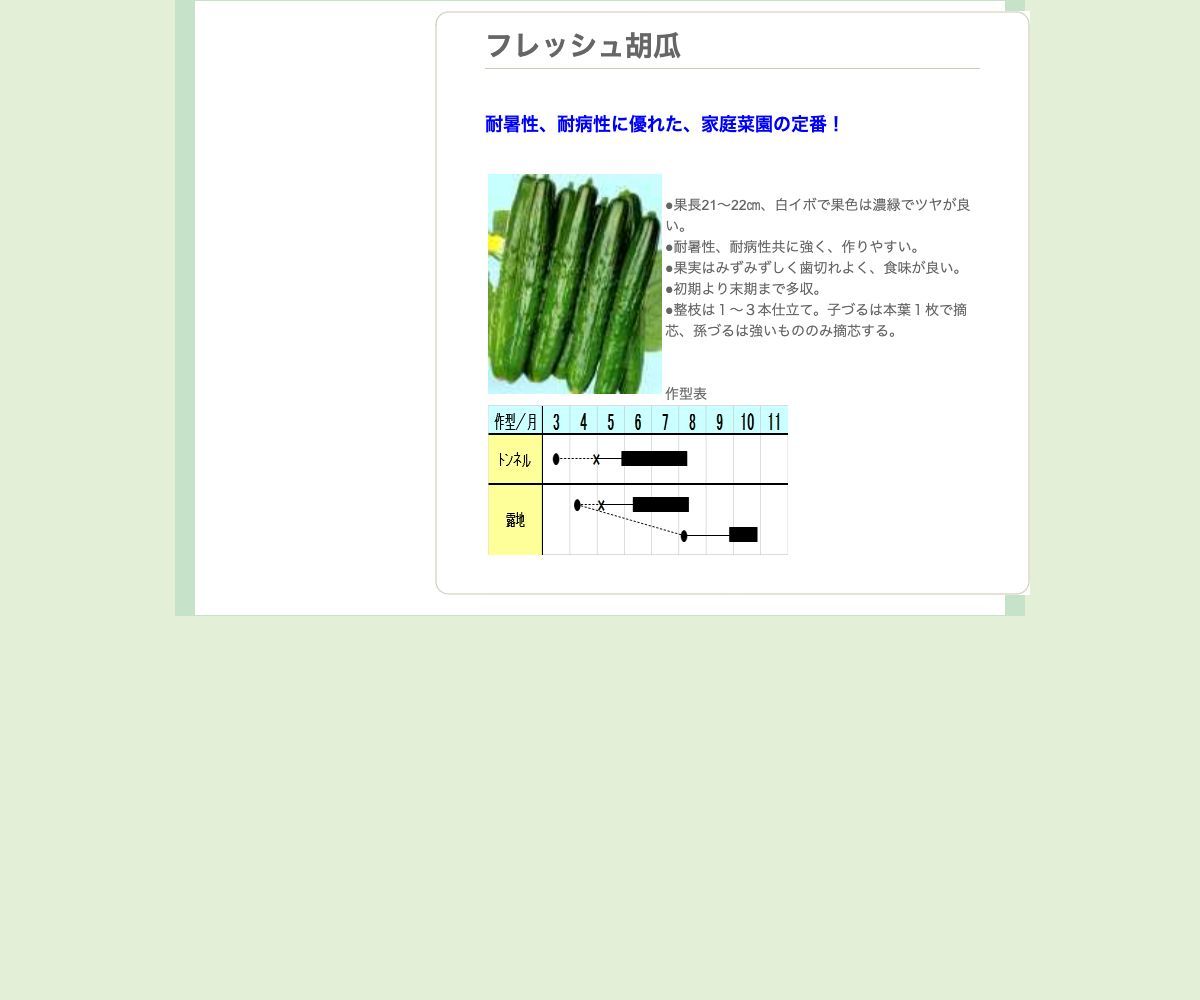 フレッシュ胡瓜