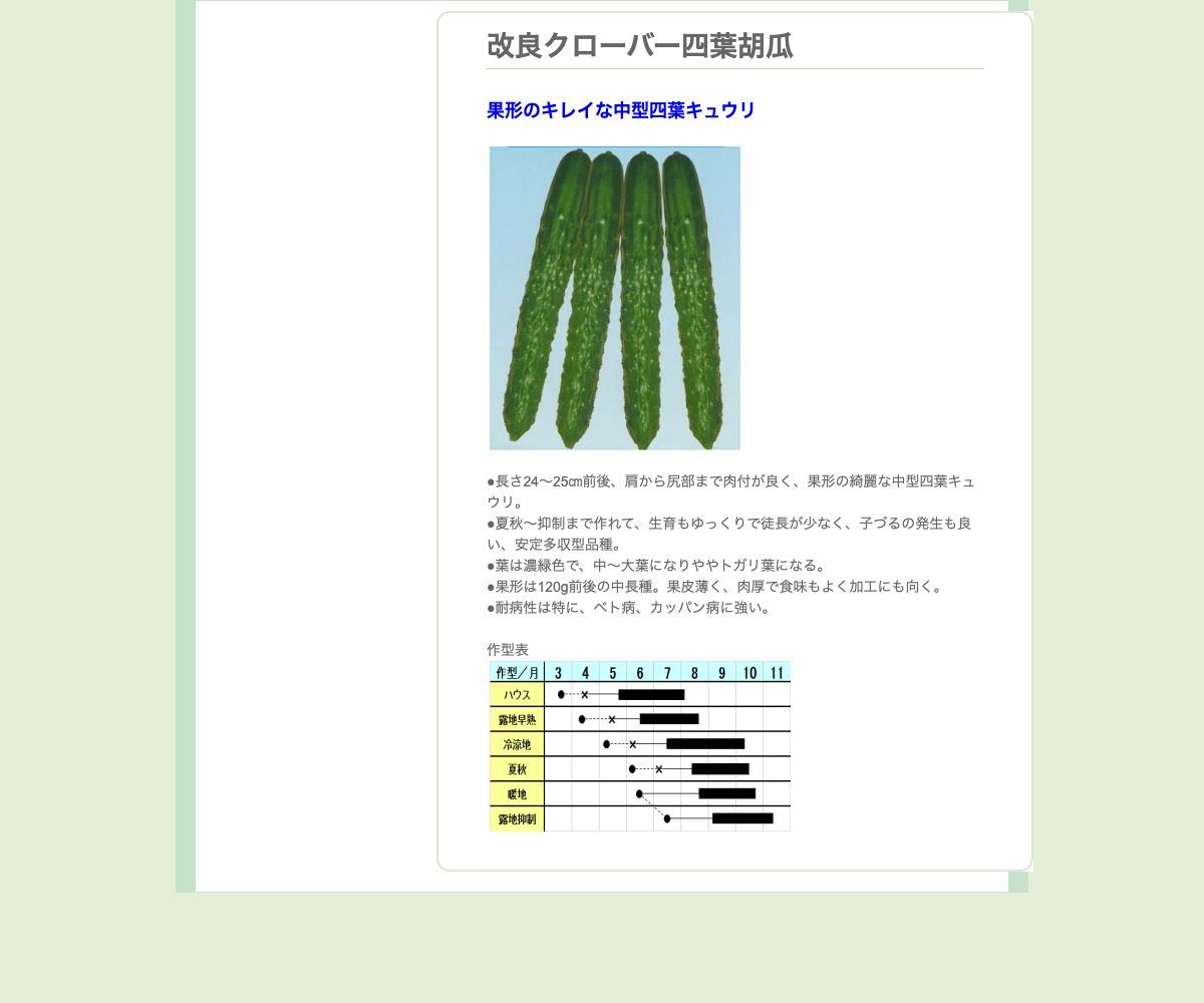 改良クローバー四葉胡瓜