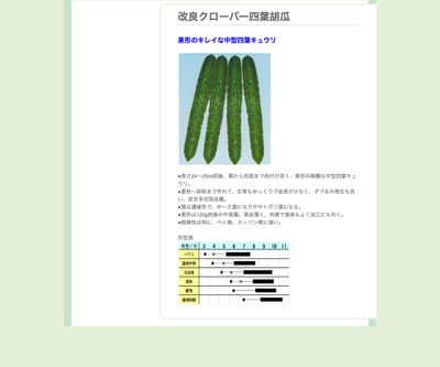 改良クローバー四葉胡瓜の画像