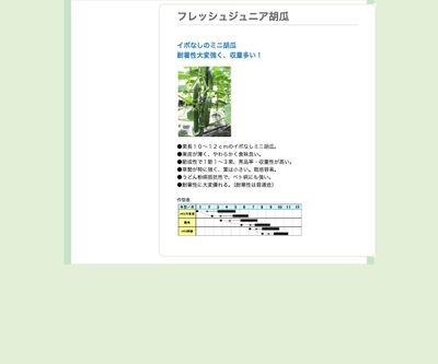 フレッシュジュニア胡瓜の画像