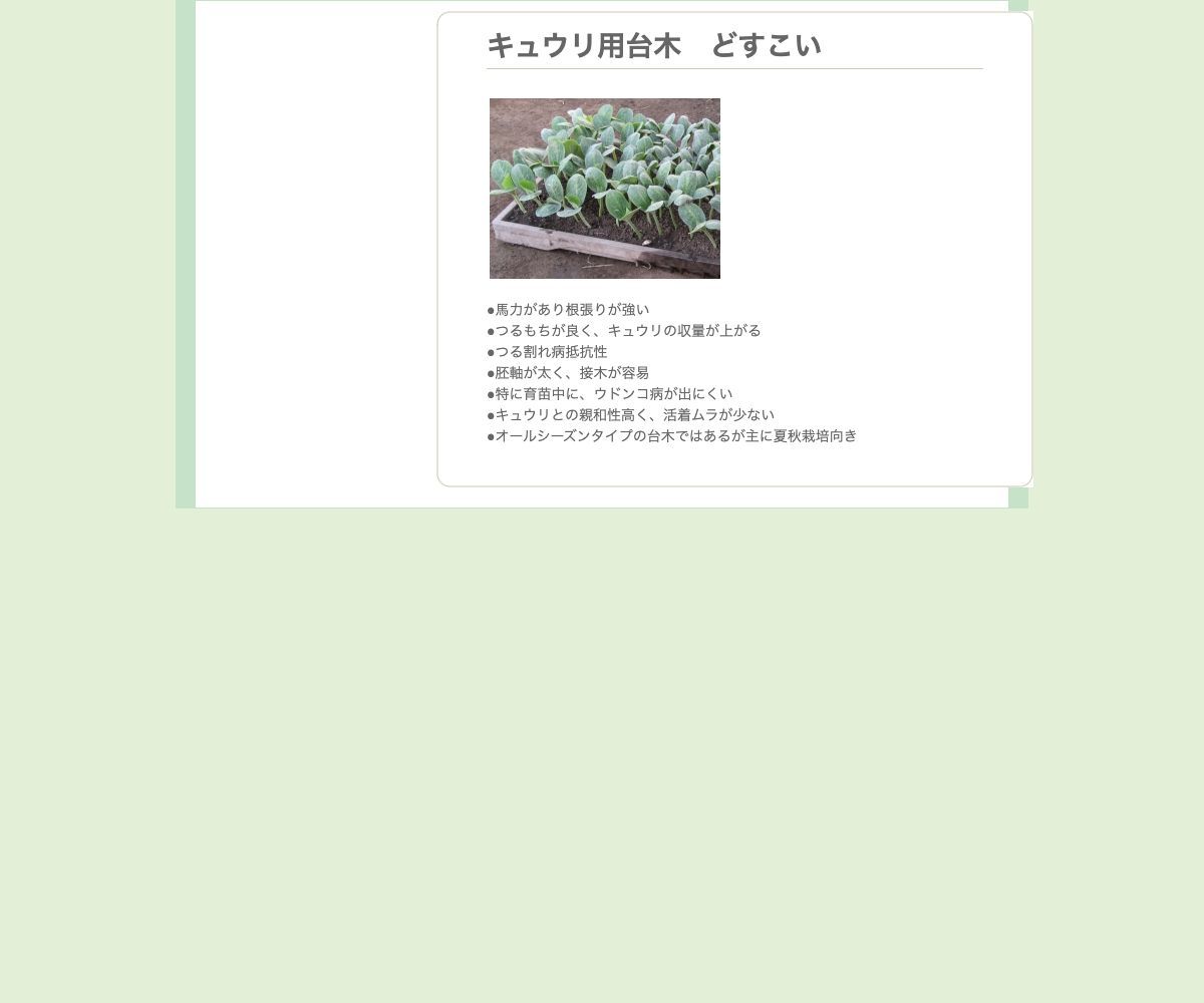 キュウリ用台木 どすこい