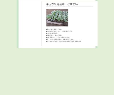 キュウリ用台木 どすこいの画像