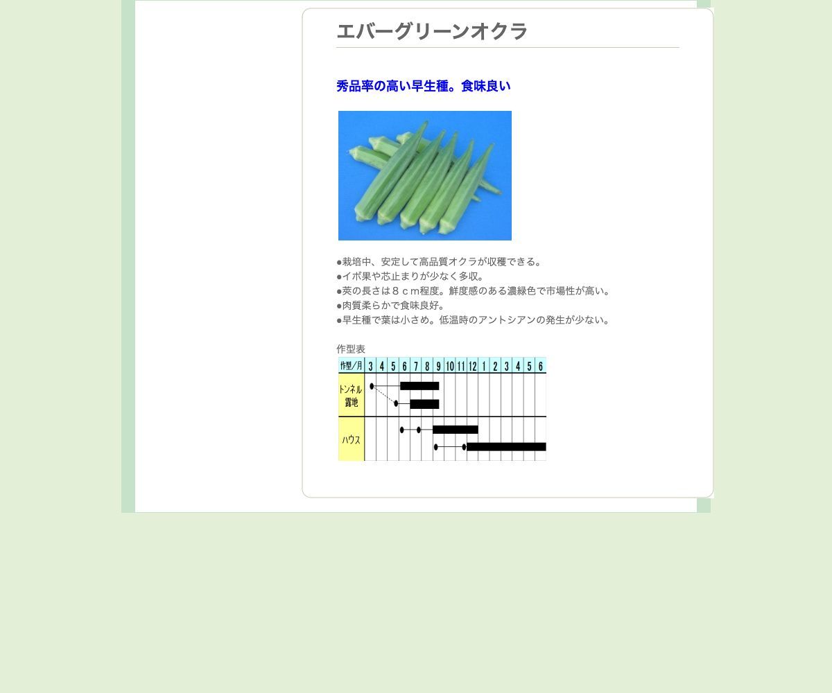 エバーグリーンオクラ