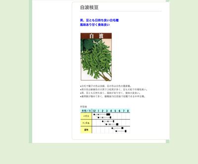 白波枝豆の画像