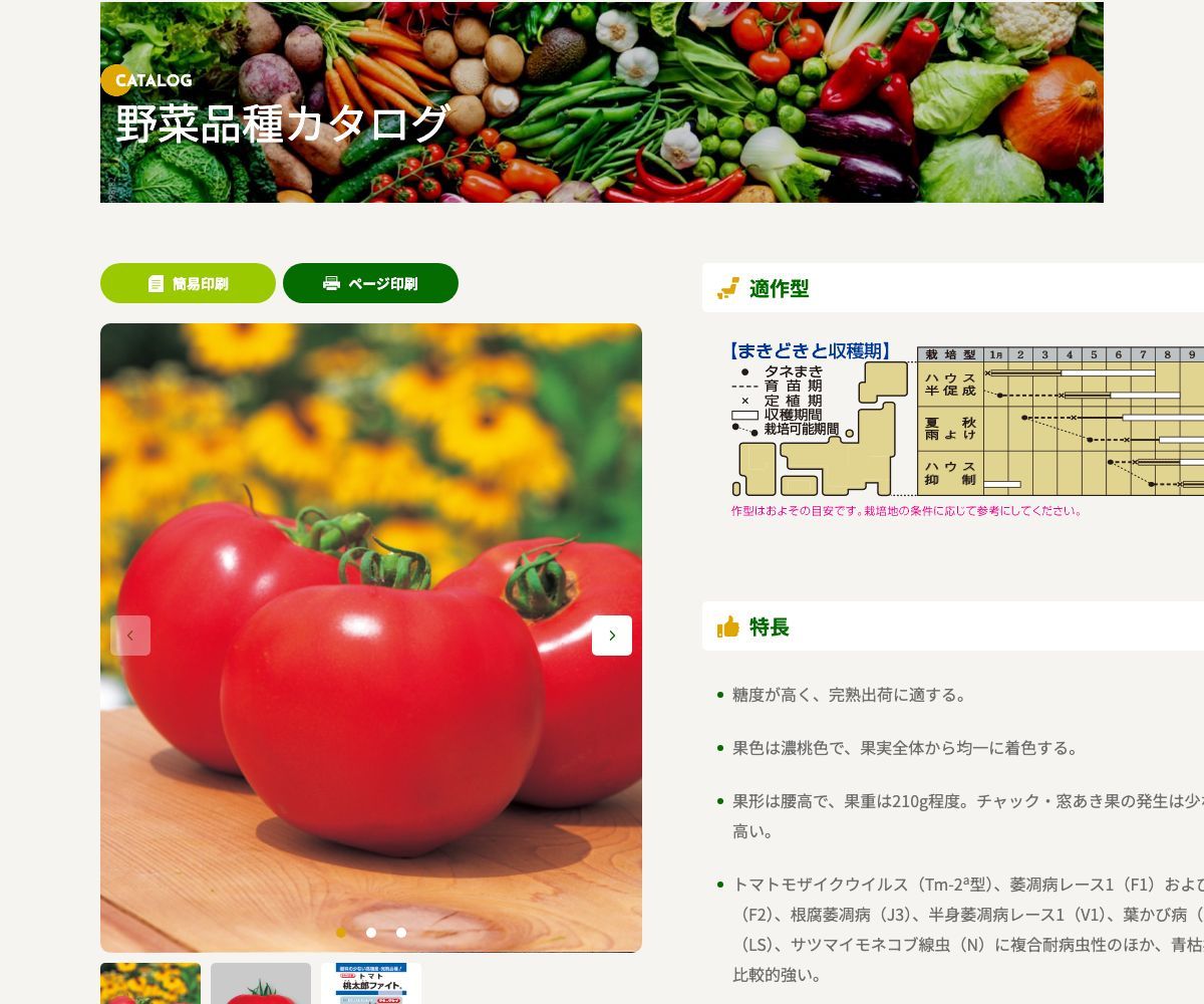 桃太郎ファイト