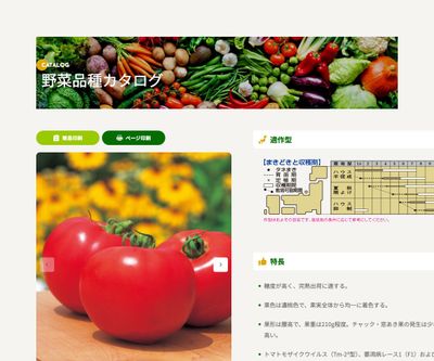 桃太郎ファイト