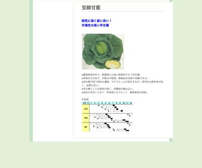 宝緑甘藍の画像