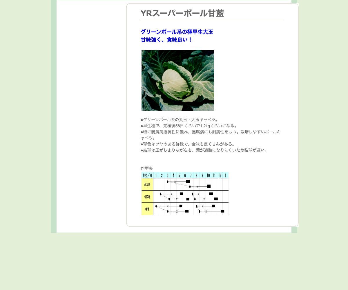 YRスーパーボール甘藍
