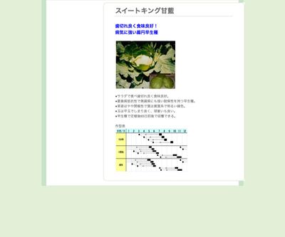 スイートキング甘藍の画像