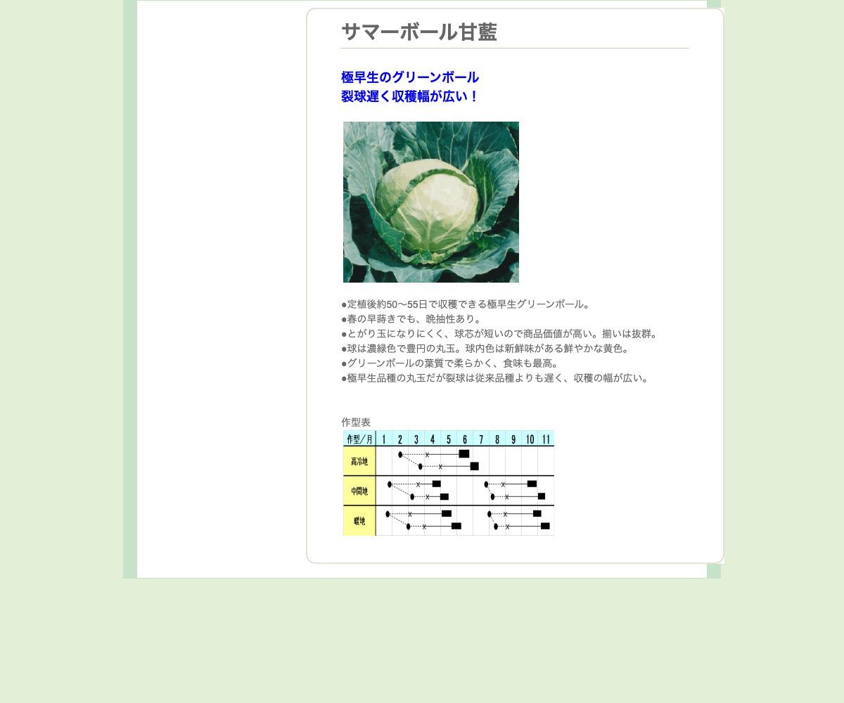 サマーボール甘藍