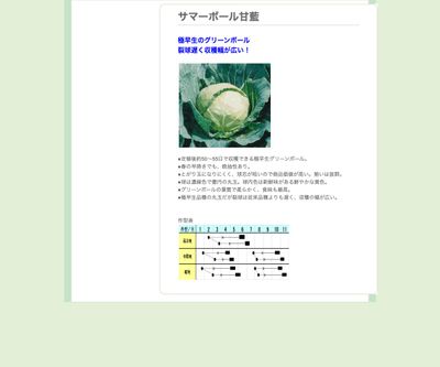 サマーボール甘藍の画像