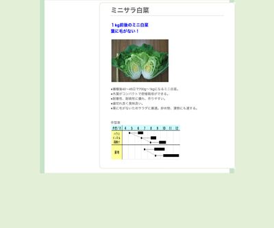 ミニサラ白菜の画像
