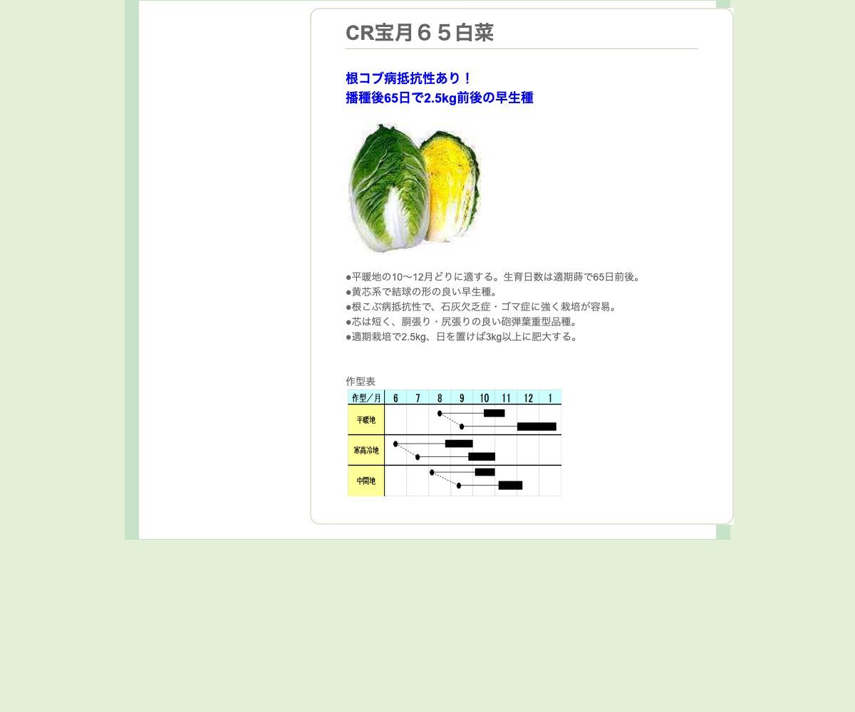 CR宝月６５白菜