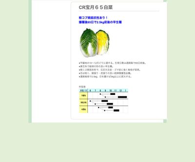 CR宝月６５白菜の画像