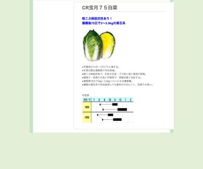 CR宝月７５白菜の画像