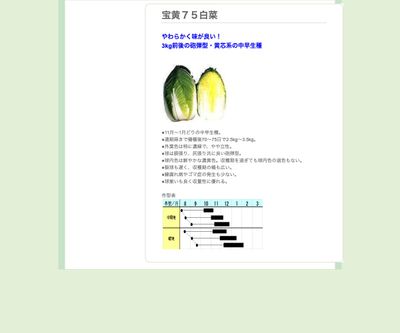 宝黄７５白菜の画像