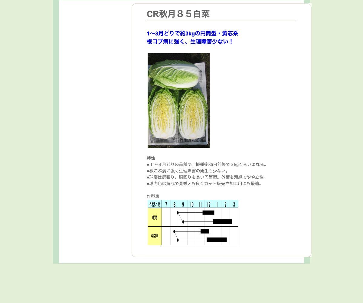 CR秋月８５白菜