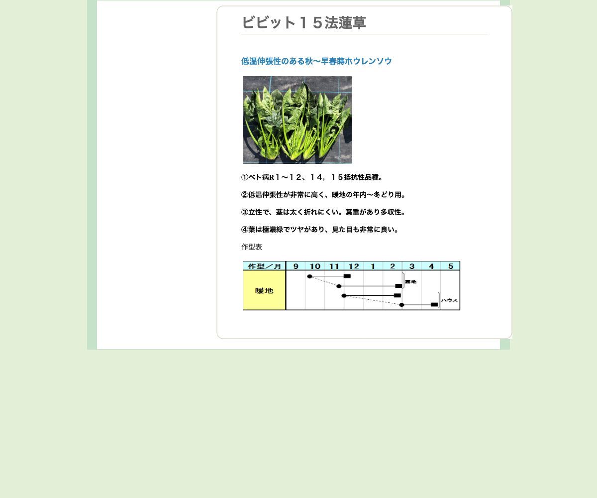 ビビッド１５法蓮草