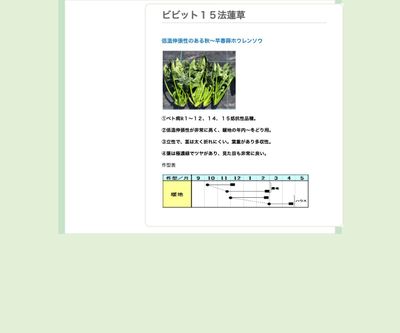 ビビッド１５法蓮草の画像
