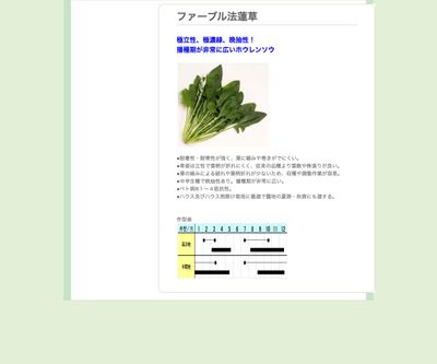 ファーブル法蓮草の画像