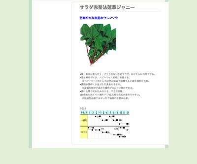 サラダ赤茎法蓮草ジャニーの画像