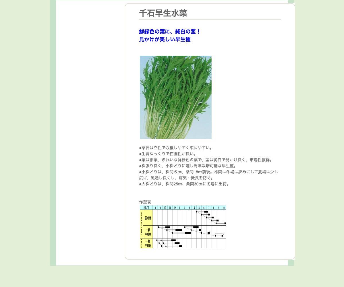 千石早生水菜