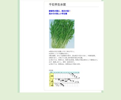 千石早生水菜の画像