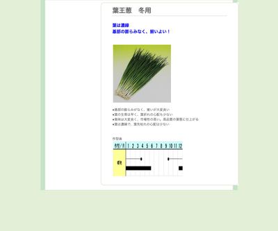 葉王葱 冬用の画像