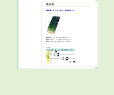 黒宝葱の画像