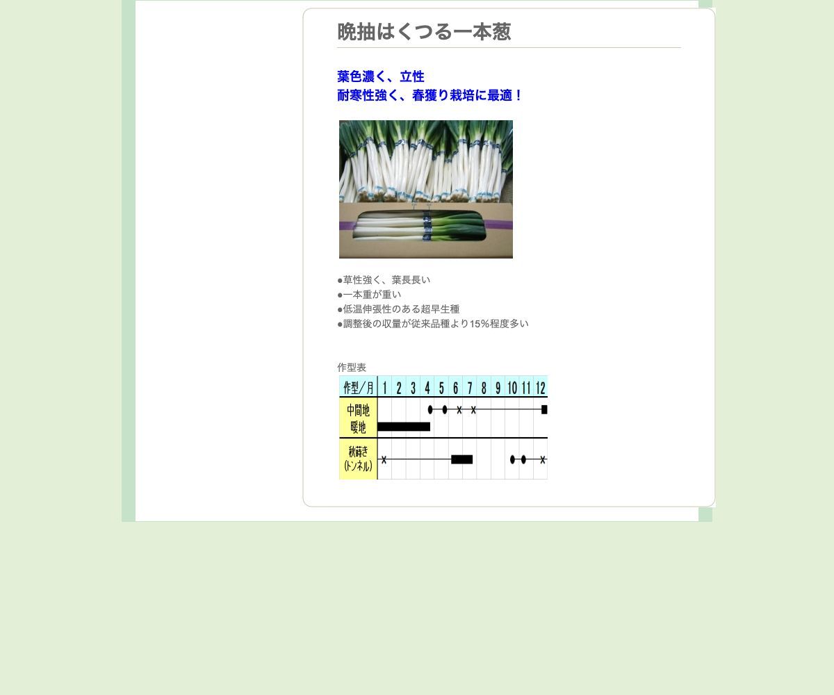 晩抽はくつる一本葱