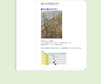 ゼンユウガリバーの画像