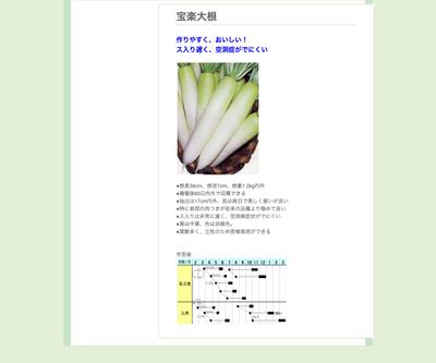 宝楽大根の画像