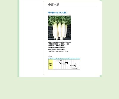 小吉大根の画像