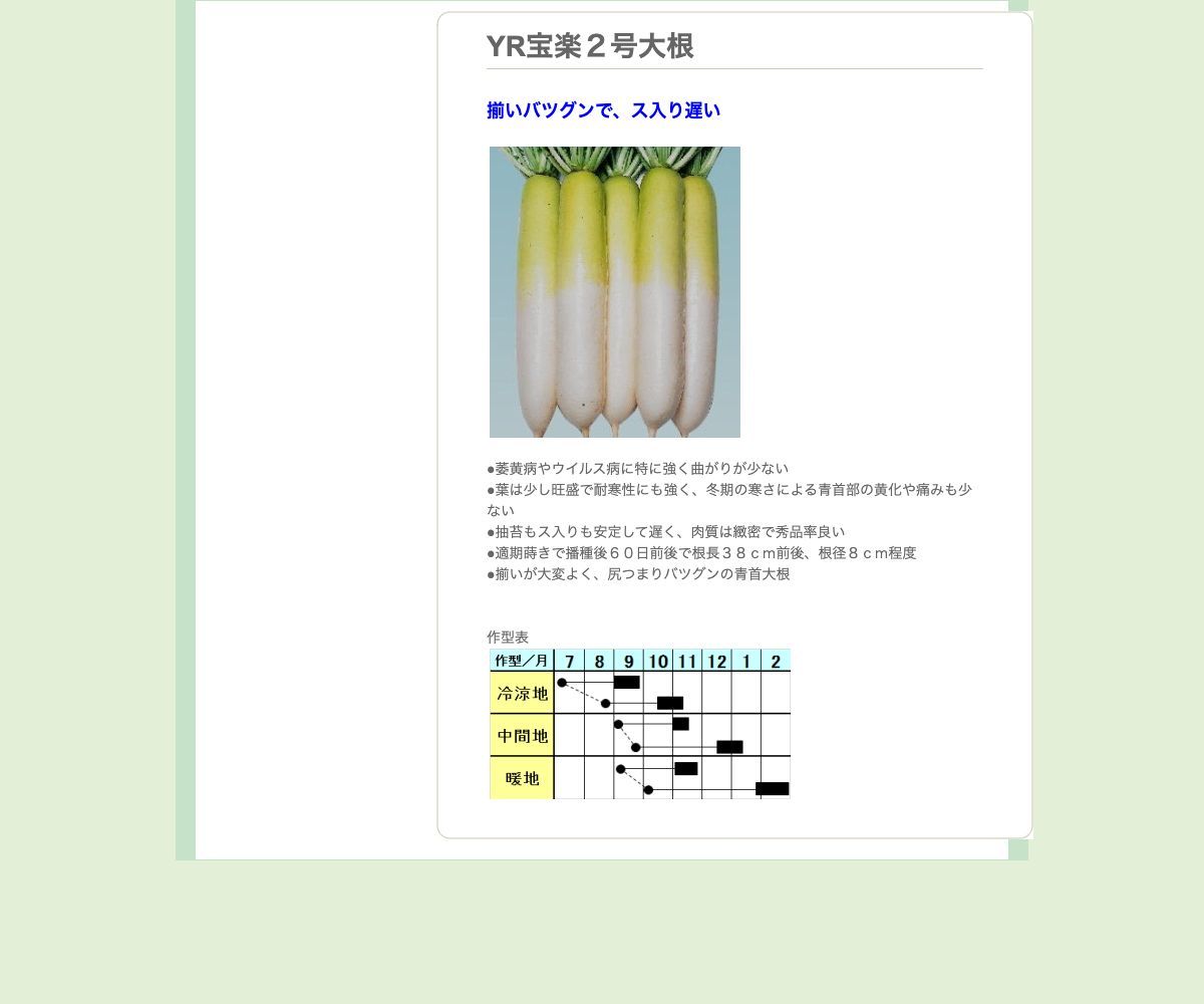YR宝楽２号大根