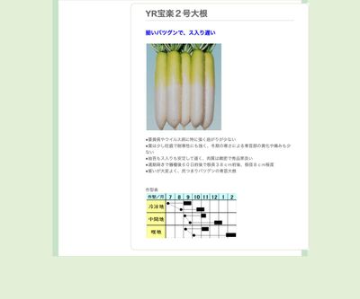 YR宝楽２号大根の画像