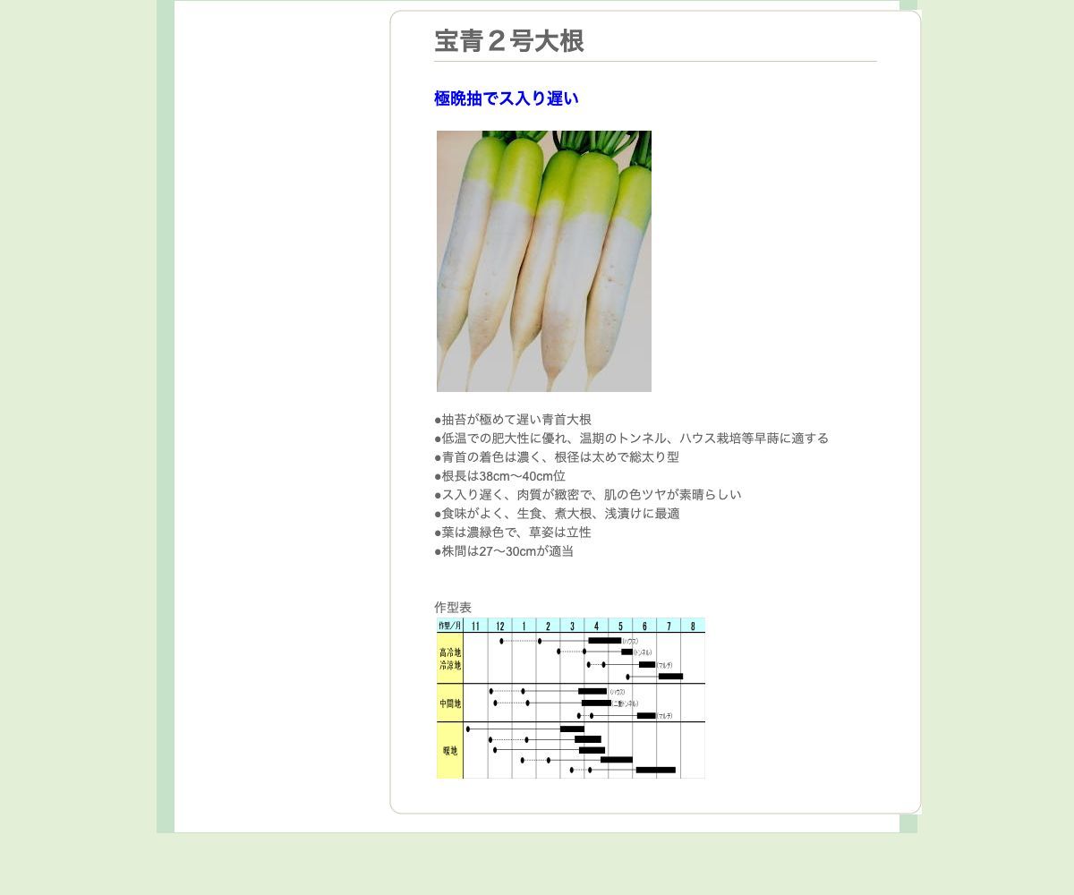 宝青２号大根