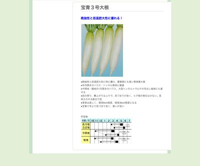 宝青３号大根の画像