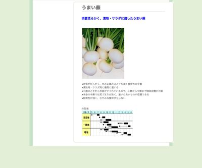 うまい蕪の画像