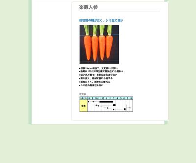 楽蔵人参の画像