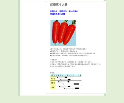 紅楽五寸人参の画像