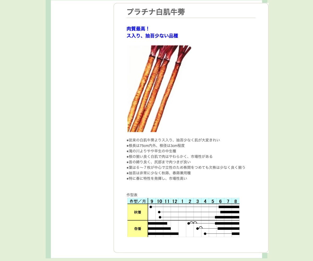 プラチナ白肌牛蒡