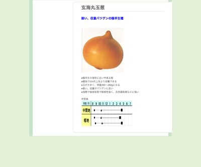 玄海丸玉葱の画像