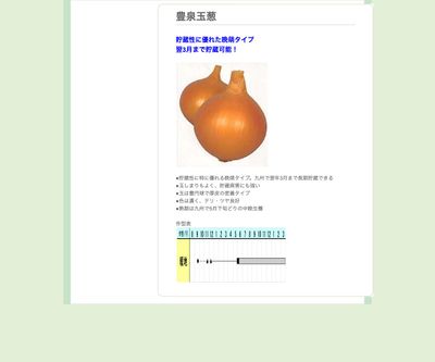 豊泉玉葱の画像