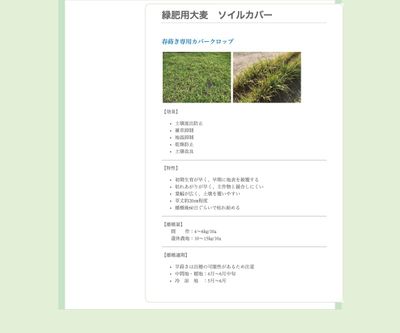 緑肥用大麦 ソイルカバーの画像