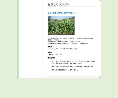 ちびっこソルゴーの画像